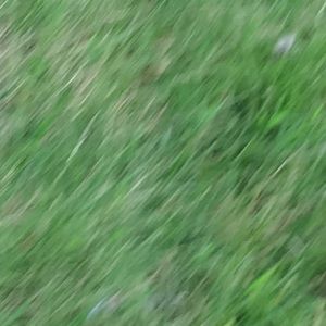 Meet your Posher, Partap